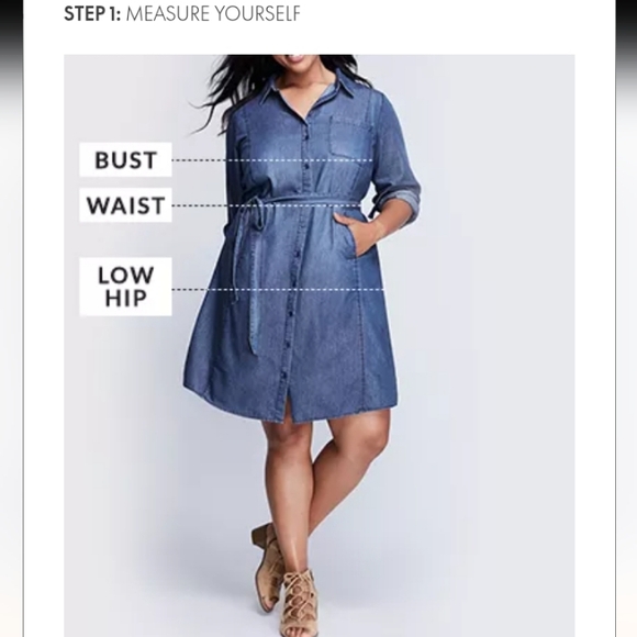 Lane Bryant Melody Strip Dress - Picture 5 of 9